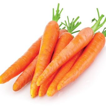 CARROTS 12 KG01